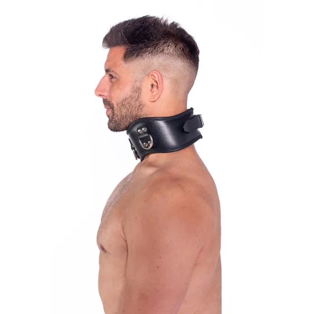Side profile of Prowler RED S/M posture collar with metal rings