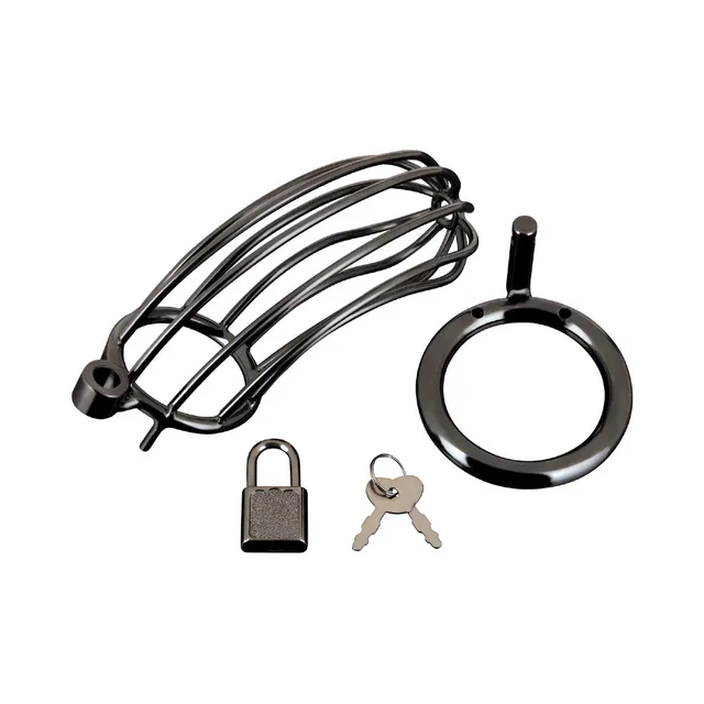 Prisoner open-bar cage disassembled with ring lock and keys