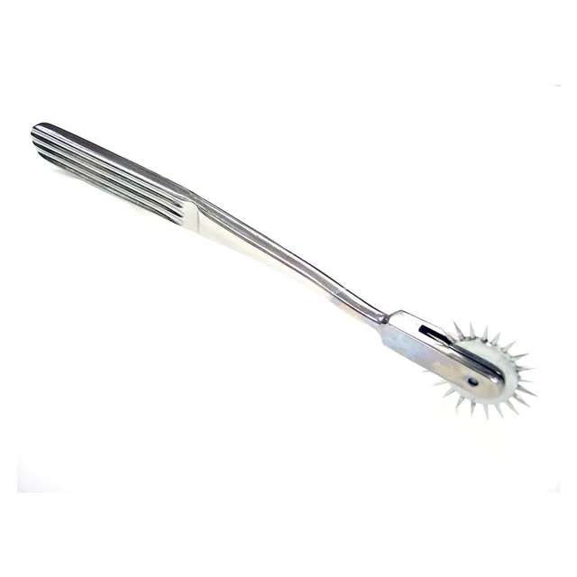 Rouge Stainless Steel Single Pinwheel full angled view on white background