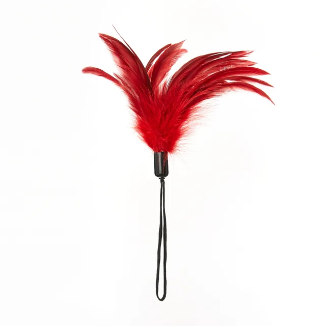 Upright red feather tickler with fanned feathers and long wrist loop