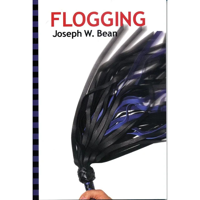 Flogging paperback cover with black and purple multi-tail flogger held in one hand