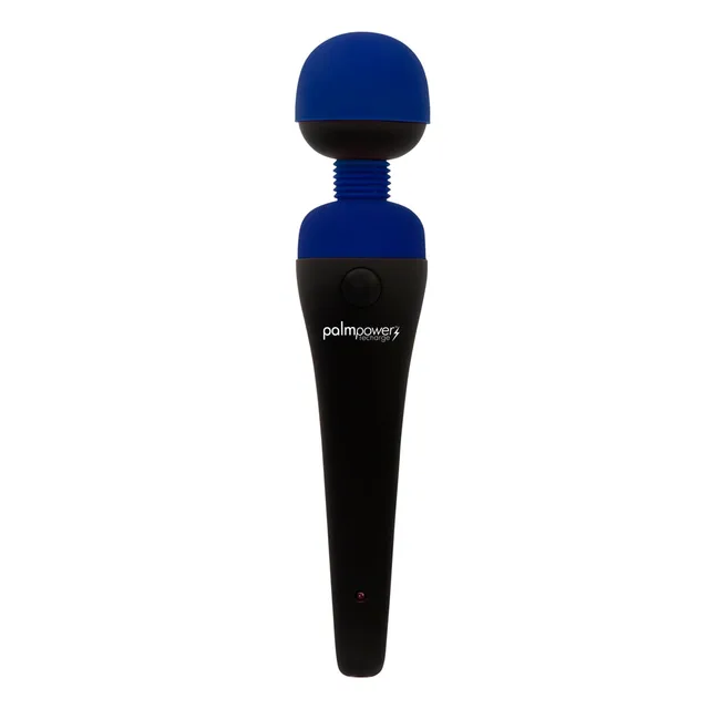 BMS PalmPower blue USB rechargeable wand massager front view with blue rounded head
