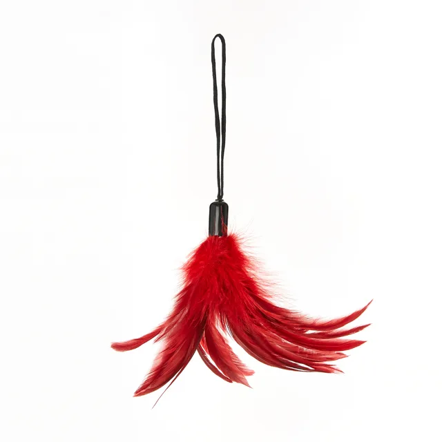Red Sportsheets feather tickler with hanging loop and downward feathers