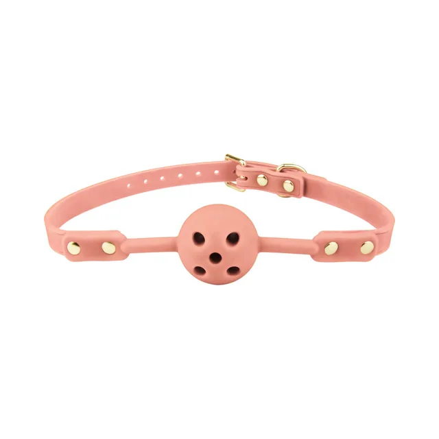 Temptasia Ardor pink ball gag front view of round five-hole ball