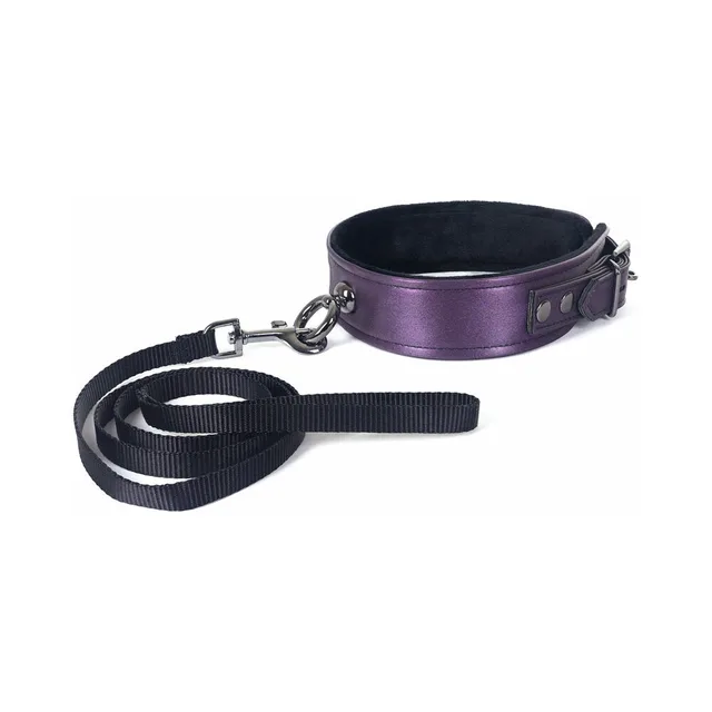 Purple Spartacus Galaxy Legend collar beside black webbing clip leash