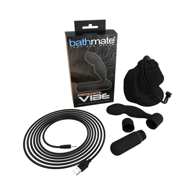 Bathmate Prostate Vibe set with pouch, cable and controls