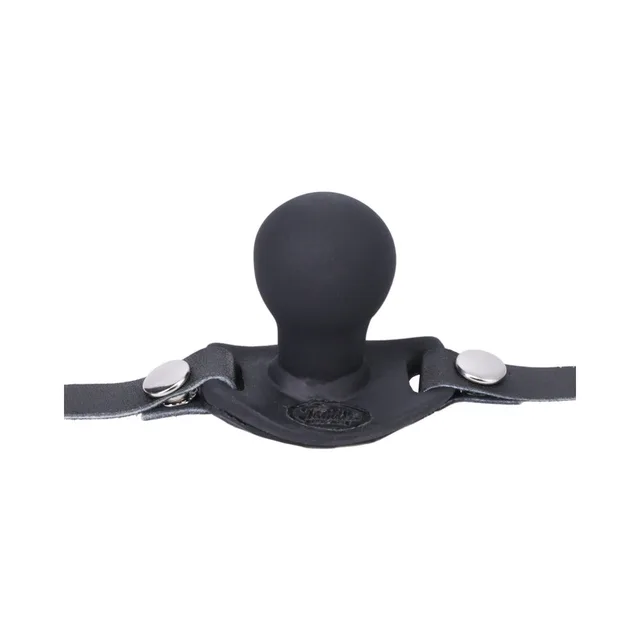 Front view of black round ball gag and silver snaps