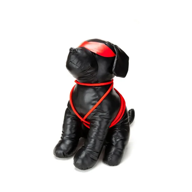 Angled front view of seated black Prowler RED Rover figure