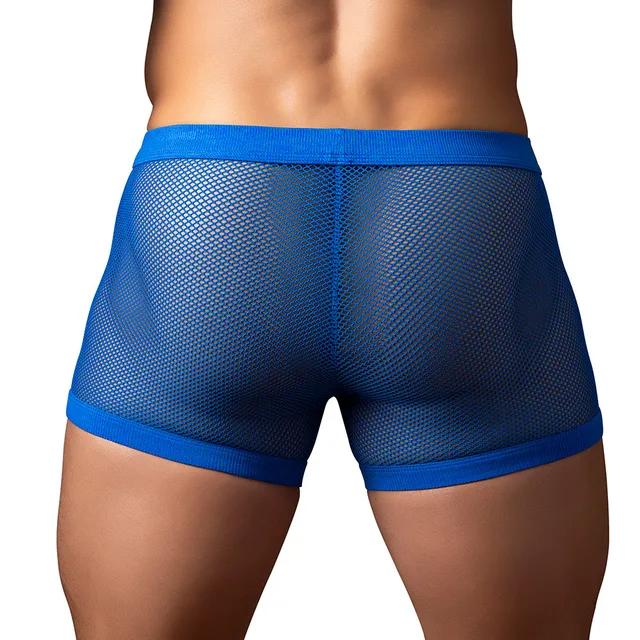 Rear view of Royal Blue Male Power Fishnet Pouch Short XL