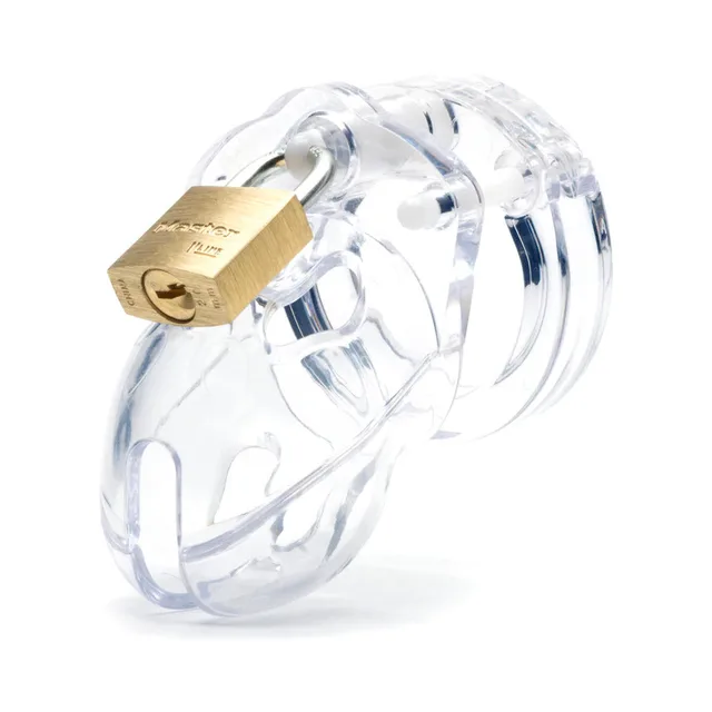 Clear Mr Stubb cage with brass-tone padlock angled front view