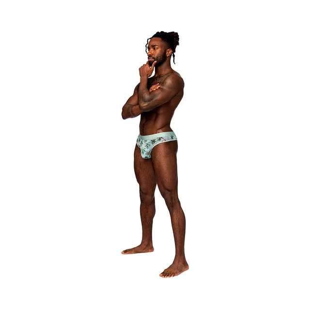 Front view of teal flamingo print sheer thong in S/M
