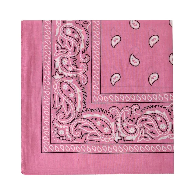 Folded light pink Prowler RED hanky with dark paisley border