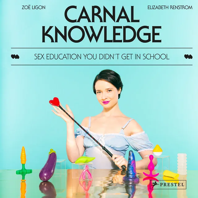 turquoise Carnal Knowledge cover with seated woman and colorful objects along the bottom