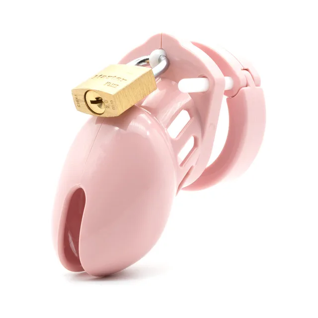 CB-X CB-6000S light pink cage assembled three-quarter view with brass padlock and vented shell