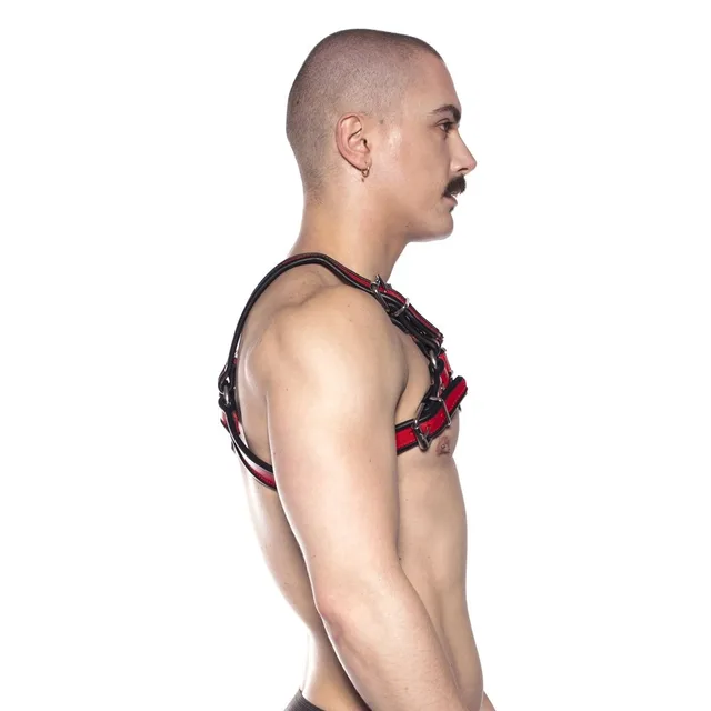 Side view of black-and-red Prowler RED Bull chest harness in size S