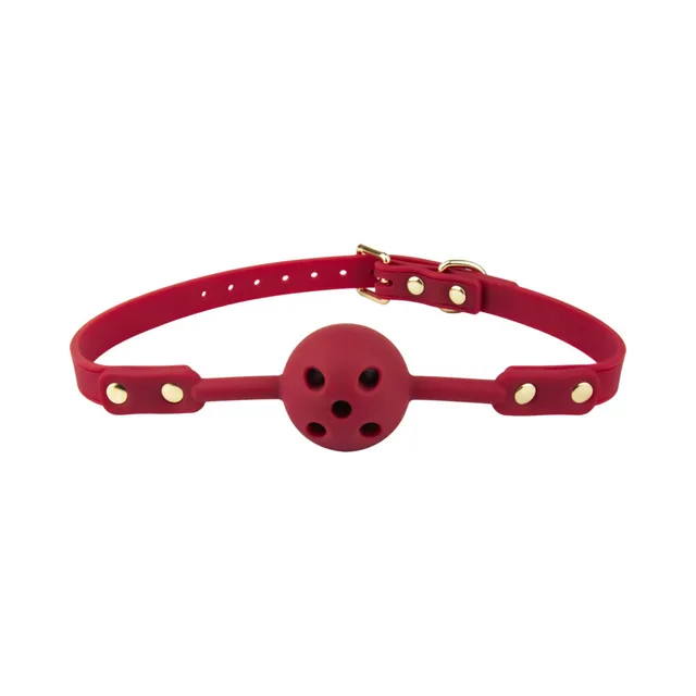 Temptasia Ardor red ball gag front view of round five-hole ball