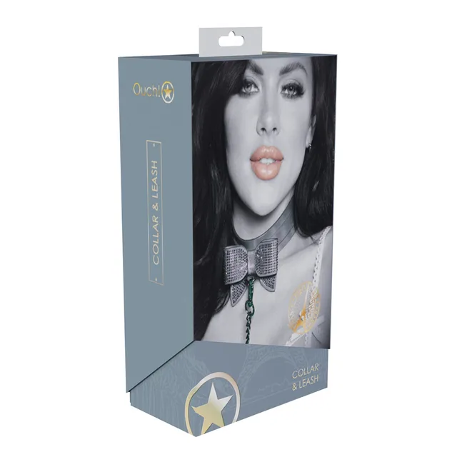 iridescent Paris collar with rhinestone bow and chain leash on box