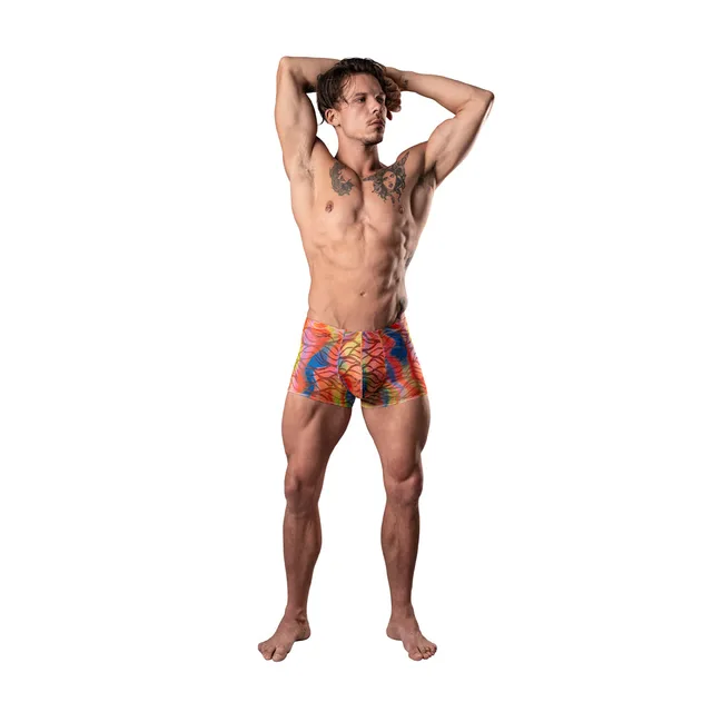 model wearing Male Power rainbow wavy mesh pouch short