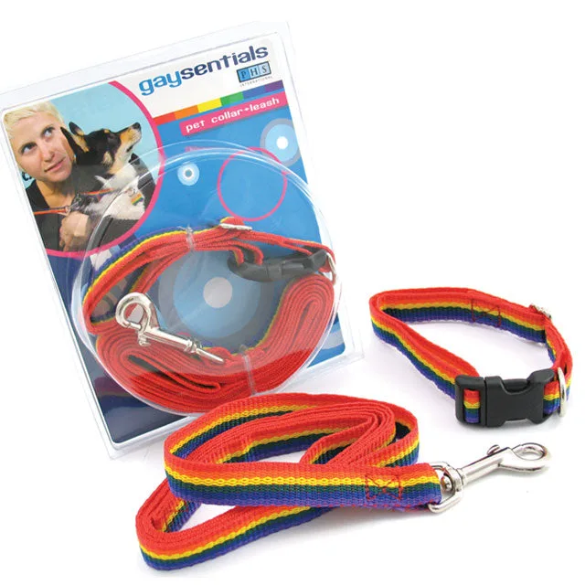 Gaysentials package with rainbow-striped medium pet collar, matching leash, buckle, and clip