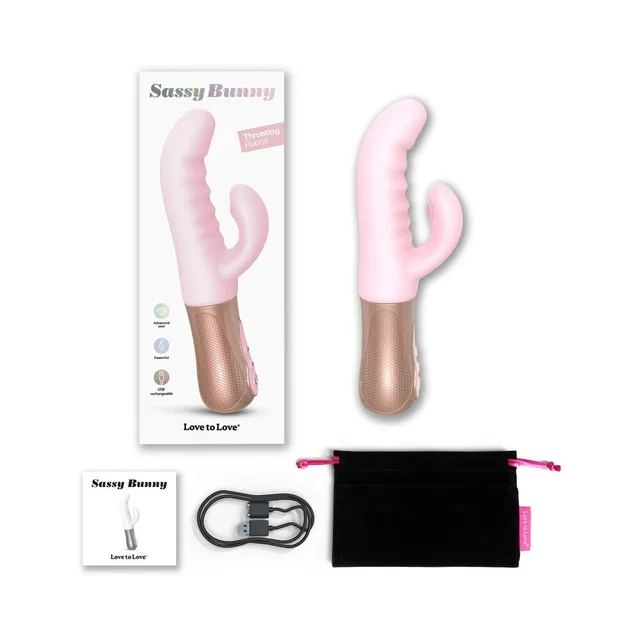 Baby Pink Sassy Bunny box with vibrator cable pouch and booklet