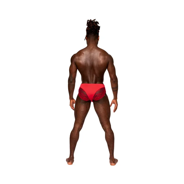 Rear view of red floral lace bikini in XL
