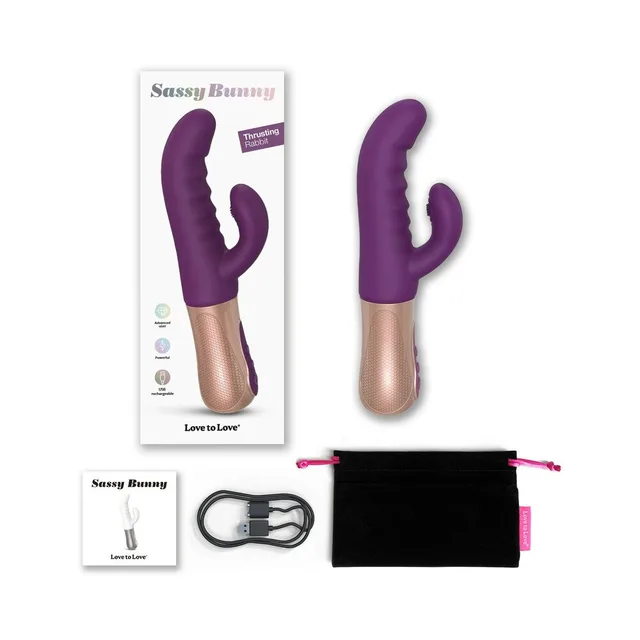 Purple Rain Sassy Bunny box with vibrator cable pouch and booklet