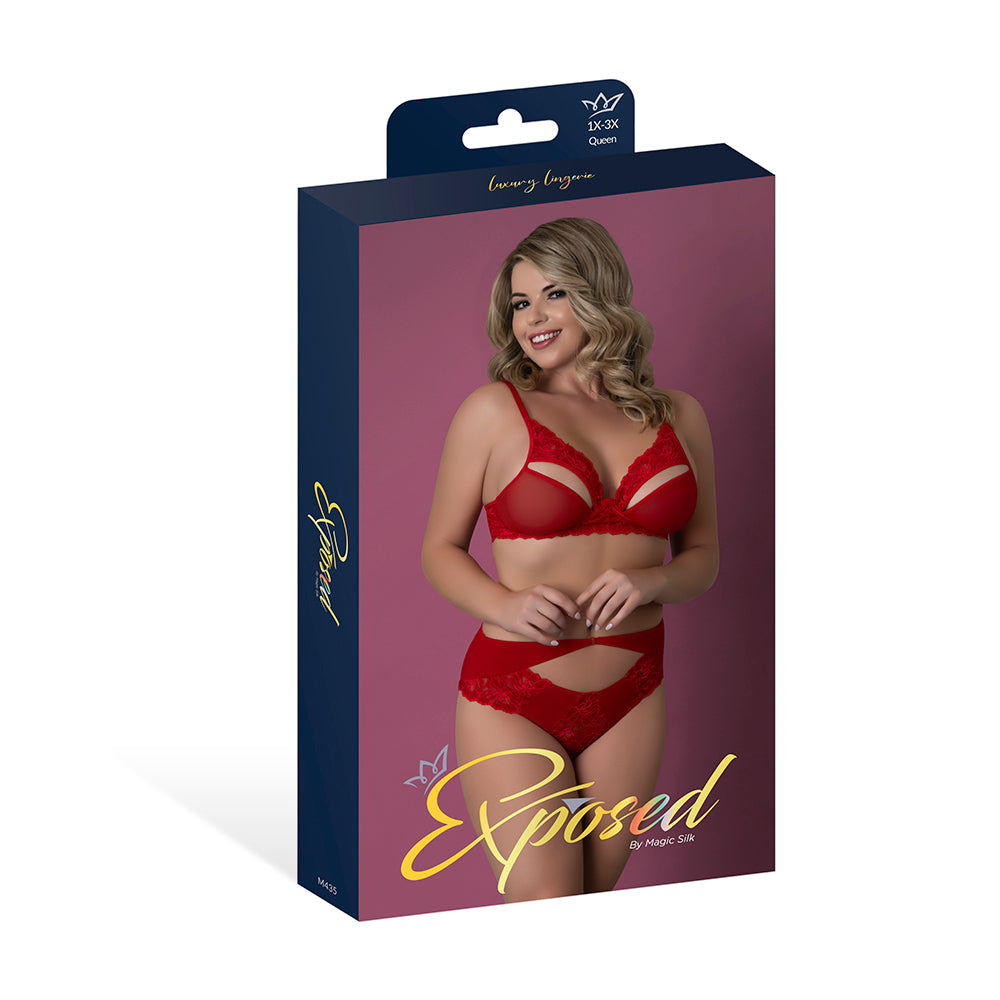 Magic Silk Rush Bra & Panty Set Red Queen Size Magic Silk Rush red bra and panty set Queen displayed in purple retail packaging