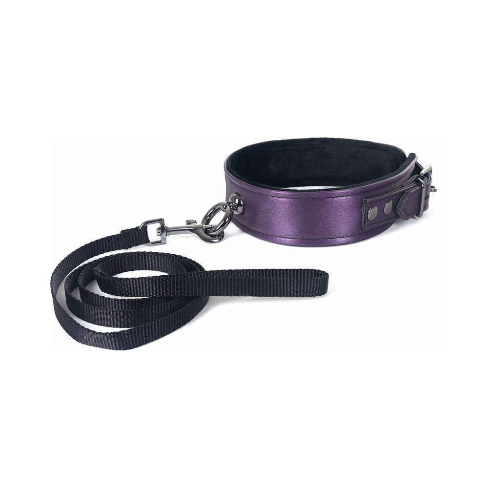 Galaxy Legend Collar and Leash Purple Purple Spartacus Galaxy Legend collar beside black webbing clip leash