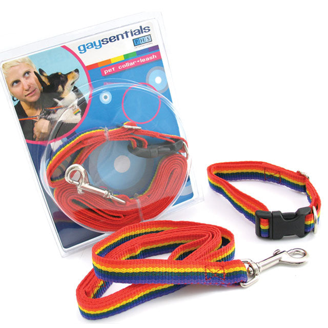 GS Pet Combo Leash/Collar (Medium) Gaysentials package with rainbow-striped medium pet collar, matching leash, buckle, and clip