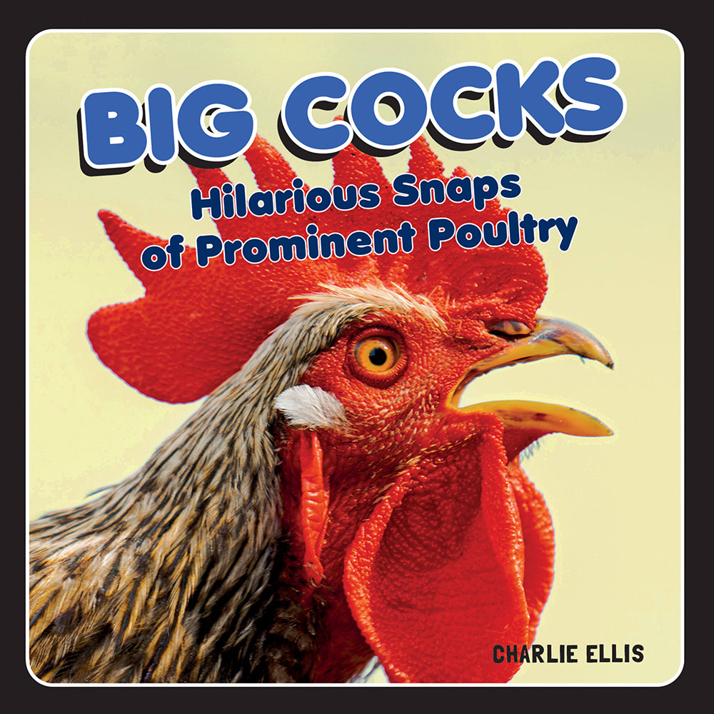Big Cocks: Hilarious Snaps of Prominent Poultry Big Cocks hardcover book cover with close-up rooster photograph and blue title
