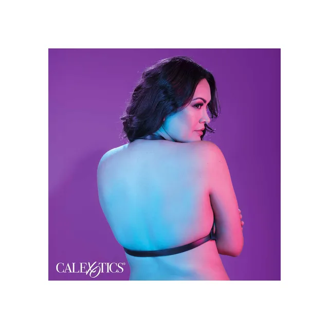 Halter Buckle Harness Plus