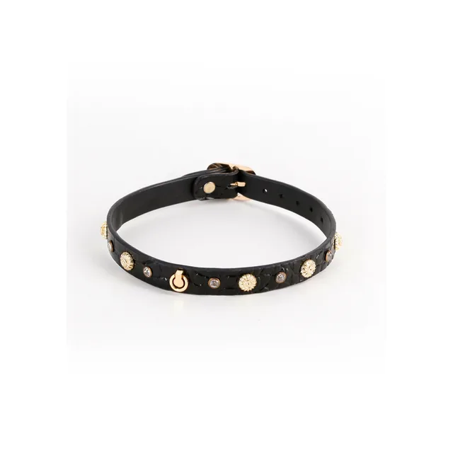 Alina Collar