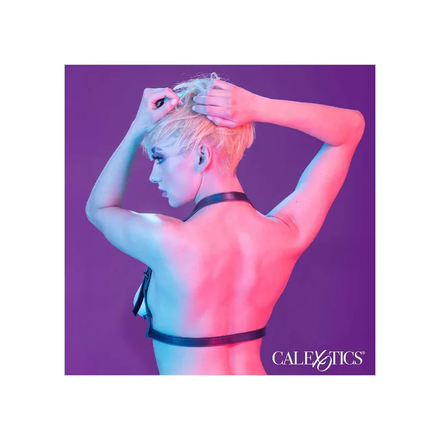 Halter Buckle Harness