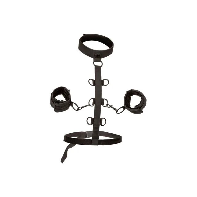 Boundless Collar Restraint