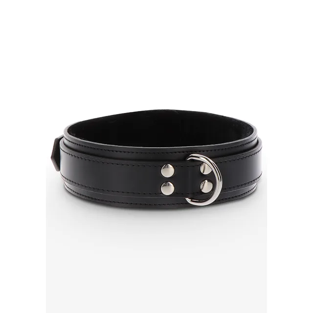Heavy D-Ring Collar