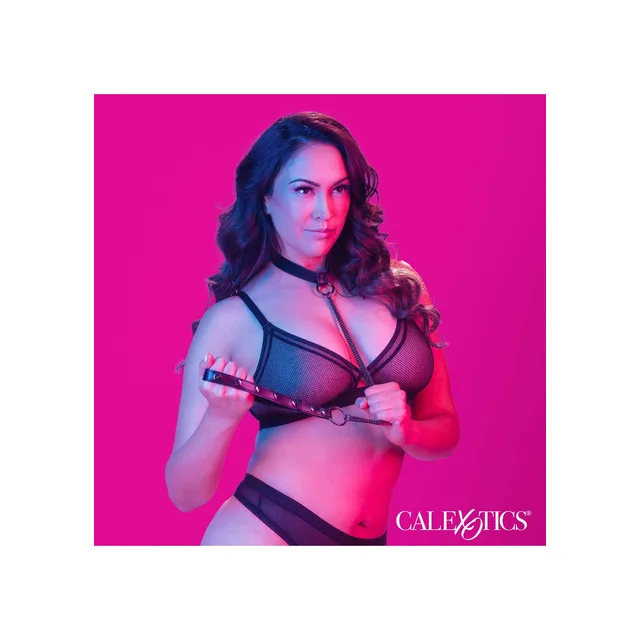 Chain Halter & Collar Plus
