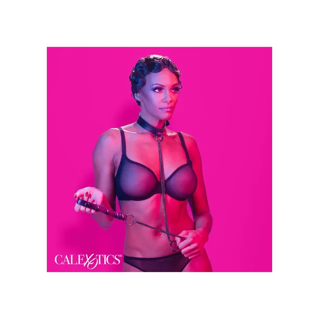 Chain Halter & Collar