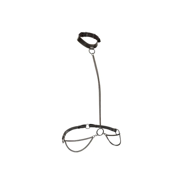 Chain Halter & Collar Plus