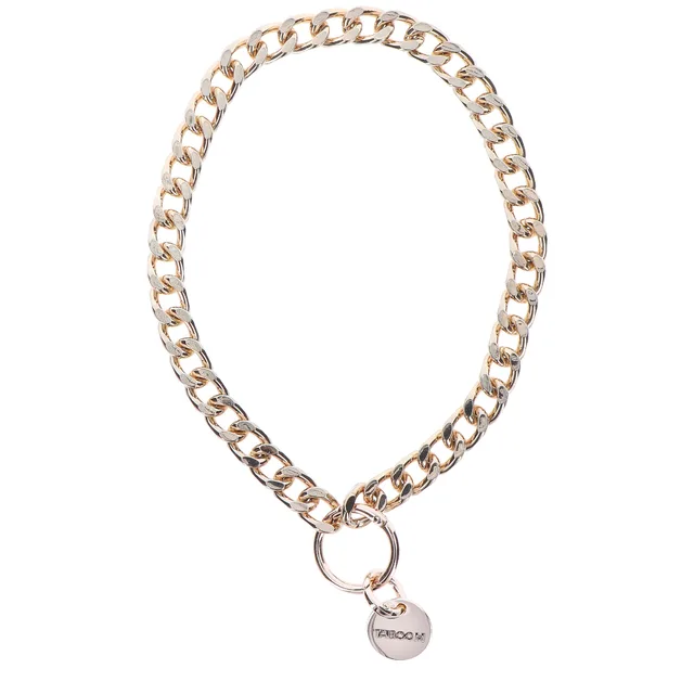 Statement Collar and leash