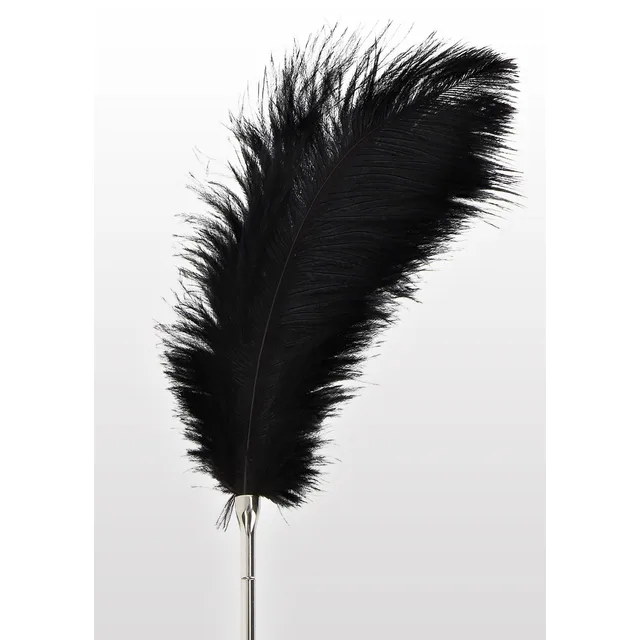 Feather Tickler