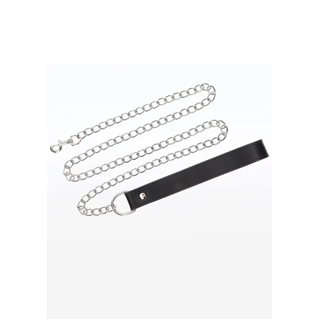 Chain Leash